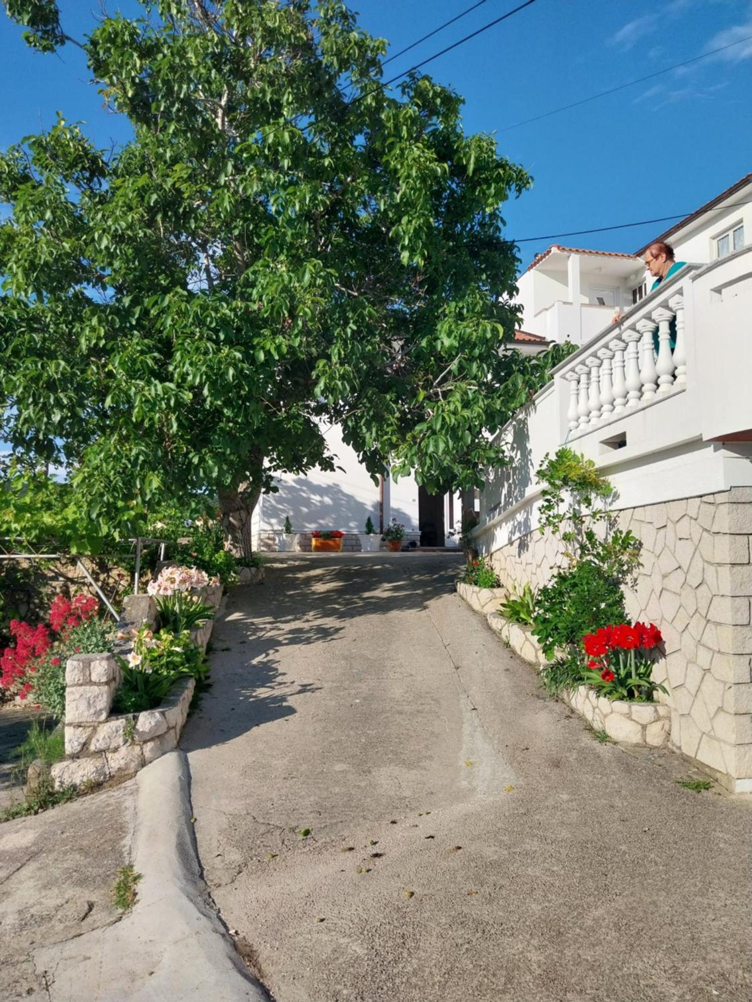 Ljubica Apartments And Rooms Supetarska Draga Kültér fotó